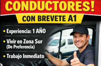 🇨🇱 Chile: ofertas de trabajo para conductores
