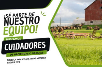 🇬🇹 Guatemala: nuevas oportunidades en fincas
