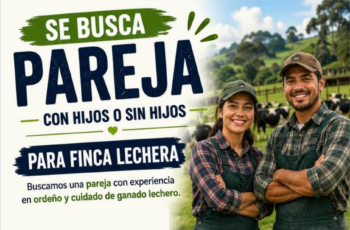 🇲🇽 México: nuevas plazas para trabajar en fincas