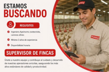 🇵🇪 Perú: oportunidades de trabajo en fincas