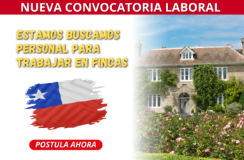 🇨🇱 Chile: empleos disponibles en predios agrícolas