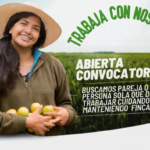 PORTADA FINCAS ARGENTINA SAMIRA